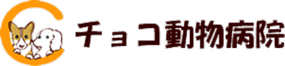 チョコ動物病院